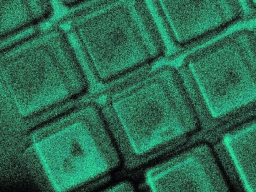 Webinar: Vertiefungsseminar Datenschutz Immobilienwirtschaft