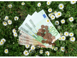 Webinar: Die eigene Beziehung zu Geld verbessern