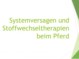 Webinar: Systemversagen und Stoffwechseltherapien beim Pferd Teil 1