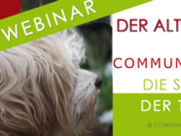 Webinar: Der alte Hund. Abenteuer, Geschenk, Herausforderung.