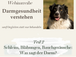 Schleim, Blähungen, Bauchgeräusche: Was sagt der Darm?