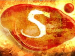 Webinar: The Secret Workshop-Mentaltraining