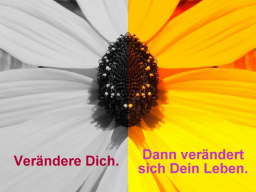 Webinar: Einfach (!) mal neue Wege gehen...