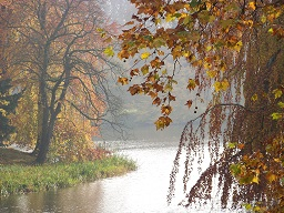 Webinar: Herbstzeit - 7 ultimative Tipps, wie du gesund durch die Erkältungszeit kommst