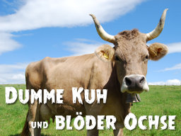 Webinar: Dumme Kuh und blöder Ochse