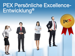 Webinar: Persönliche Excellence-Entwicklung