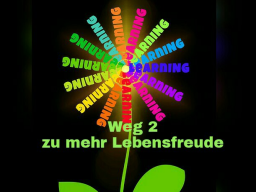 Webinar: Weg 2 zu mehr Lebensfreude