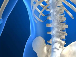 Webinar: Fit, gsund und knackig in den Arbeitstag