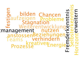 Webinar: Konfliktmanagement mit PiA #6: Konflikte & Emotionen
