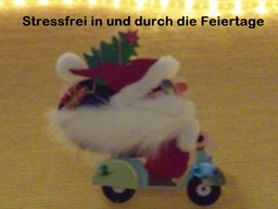 Webinar: Stressfrei in und durch die Feiertage (Intensiv-Workshop)