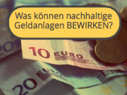 Webinar: Geld mit Sinn: Was können nachhaltige Geldanlagen bewirken?