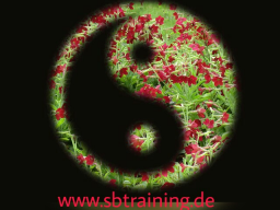 Webinar: Koch dich schön, schlank & gesund mit der 5 Elemente Küche