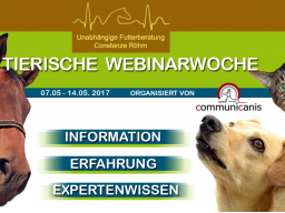 Webinar: Kotwasser bei Pferden (Constanze Röhm)