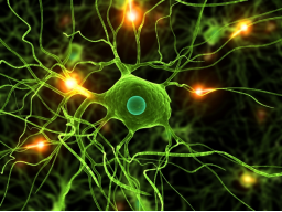 Webinar: Gesundheitscoaching Teil 2 von 15