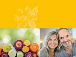 Webinar: Impuls Kost Phase 2 sowie Erdung/Luft/Bewegung