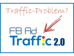 Webinar: Live-Webinar: 1300 BESUCHER täglich, sofort 358 LEADS und das 11-FACHE an GEWINN im ersten Monat