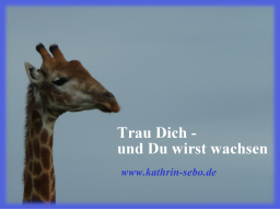 Webinar: Trau Dich - und Du wirst wachsen