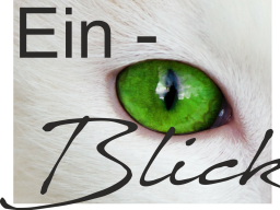 Webinar: Einen kostenfreien Blick in meine Arbeit? JA gerne!