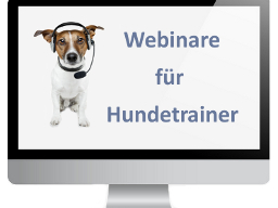 Webinar: Erfolgreiches Marketing als Hundetrainer - Basics