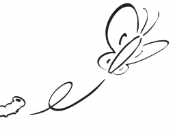 Webinar: Bewerben mit Freude