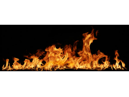 Webinar: Feuer im Körper - Neueste Erkenntnisse zu Ernährung, Entzündungen und chronischen Erkrankungen