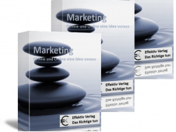 Webinar: Speed-Webinar: Auch ohne Google Tausende von Besucher