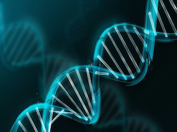 Webinar: Nachhilfe in Biologie - Antworten auf alle Fragen
