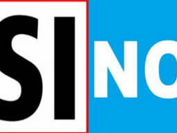 Webinar: si - no