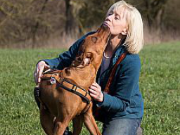 Webinar: Mentaltraining für Hundebesitzer