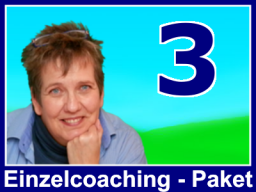 Webinar: Einzelcoaching - 3 Stunden (Mimi)