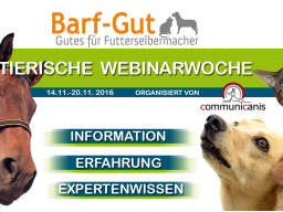 Webinar: Ernährung bei Arthrose & Co und Hunde-Senioren richtig füttern.