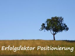 Webinar: Erfolgsfaktor Positionierung