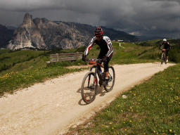 Webinar: Smarte Trainingsplanung für Radfahrer