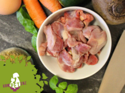 Webinar: Das ABC der Hundeernährung
