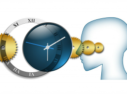 Webinar: Welcher Zeit-Typ sind Sie?