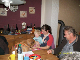 Webinar: Sachkunde Hund - Hund und Kind, Leben in der Familie