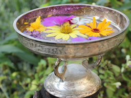 Webinar: RITUALE IM JAHRESKREIS