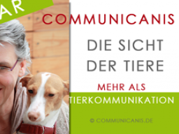 Webinar: Tierkommunikation - das Informationswebinar