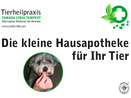Webinar: Kleine alternative Hausapotheke für das Tier (Teil 1)