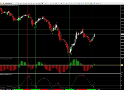 Webinar: Einzelcoaching Trading