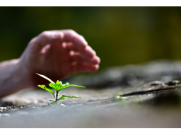 Webinar: Resilienz - Mit Souveränität und Widerstandskraft gegen den Stress
