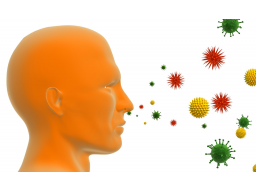Webinar: Allergien: Ursachen und Heilungsmöglichkeiten