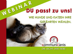 Webinar: DU passt zu uns !