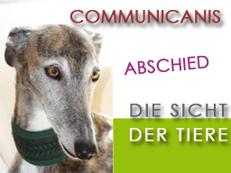 Webinar: Abschied aus tierischer Sicht