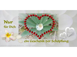 Webinar: Wie denkst und sprichst du den ganzen Tag?