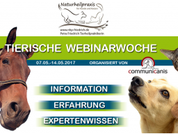 Webinar: Mykotherapie | Referentin Petra Friedrich