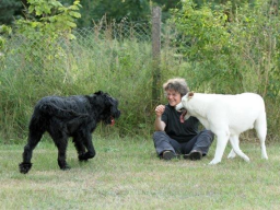 Webinar: Was hast du gesagt? - Teil 1 Warum Hunde uns oft nicht verstehen