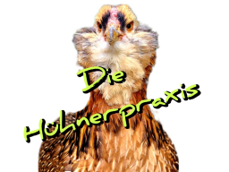 INFEKTIÖSE BRONCHITIS BEI HÜHNERN - Mein bestes Konzept