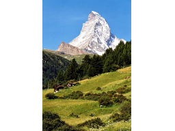 Webinar: Daytrading ist ein Unternehmen..