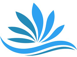 Webinar: Reset Yourself kennenlernen